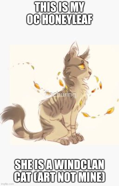 THIS IS MY OC HONEYLEAF; SHE IS A WINDCLAN CAT (ART NOT MINE) | made w/ Imgflip meme maker