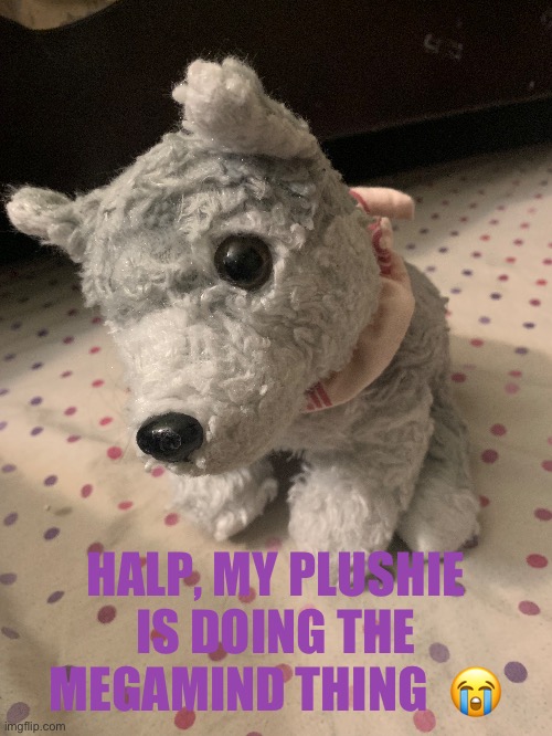 HALP, MY PLUSHIE IS DOING THE MEGAMIND THING  😭 | image tagged in wowzers | made w/ Imgflip meme maker