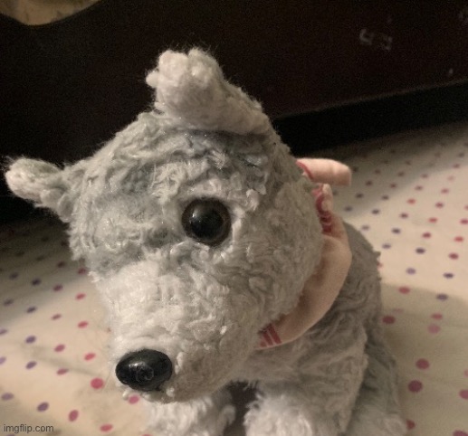 Megamind wolf | image tagged in megamind dog | made w/ Imgflip meme maker