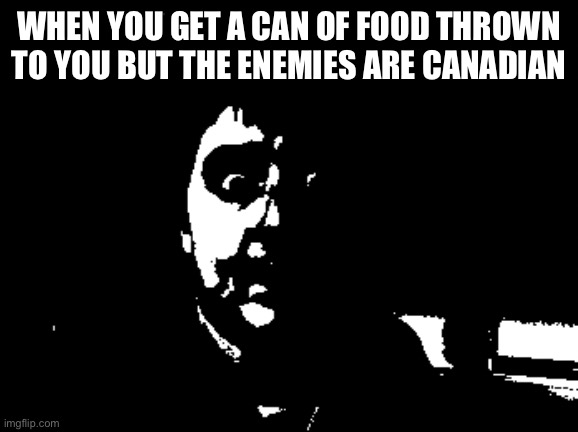 I forgot i was an owner of this place | WHEN YOU GET A CAN OF FOOD THROWN TO YOU BUT THE ENEMIES ARE CANADIAN | image tagged in anguish | made w/ Imgflip meme maker