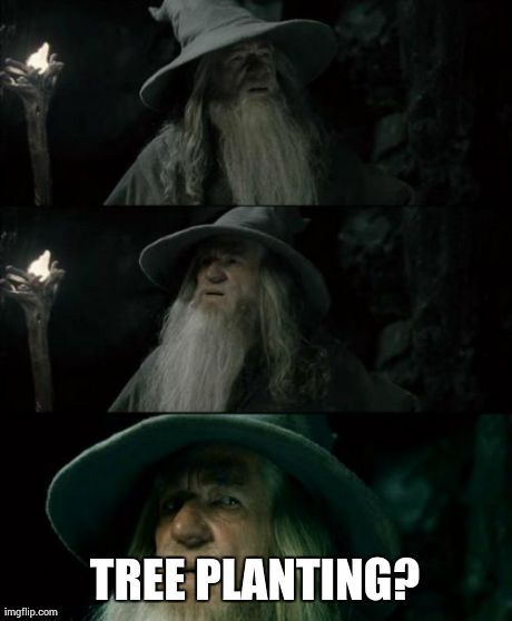 Confused Gandalf | TREE PLANTING? | image tagged in memes,confused gandalf | made w/ Imgflip meme maker