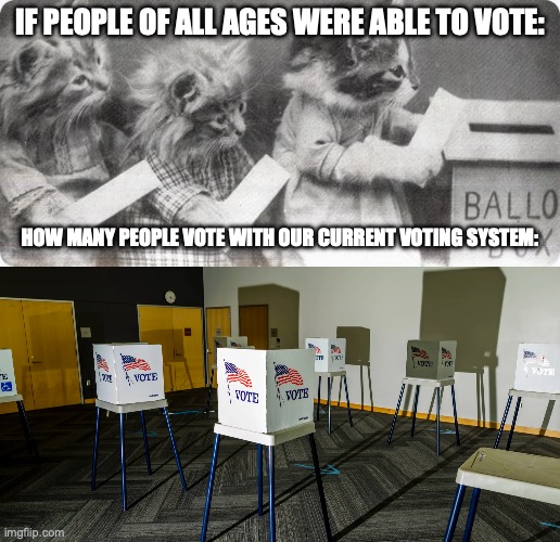 Cats Voting Meme | IF PEOPLE OF ALL AGES WERE ABLE TO VOTE:; HOW MANY PEOPLE VOTE WITH OUR CURRENT VOTING SYSTEM: | image tagged in cute cats,very funny | made w/ Imgflip meme maker