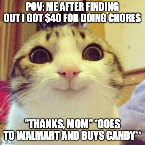 Smiling Cat Meme | POV: ME AFTER FINDING OUT I GOT $40 FOR DOING CHORES; "THANKS, MOM" *GOES TO WALMART AND BUYS CANDY** | image tagged in memes,smiling cat | made w/ Imgflip meme maker