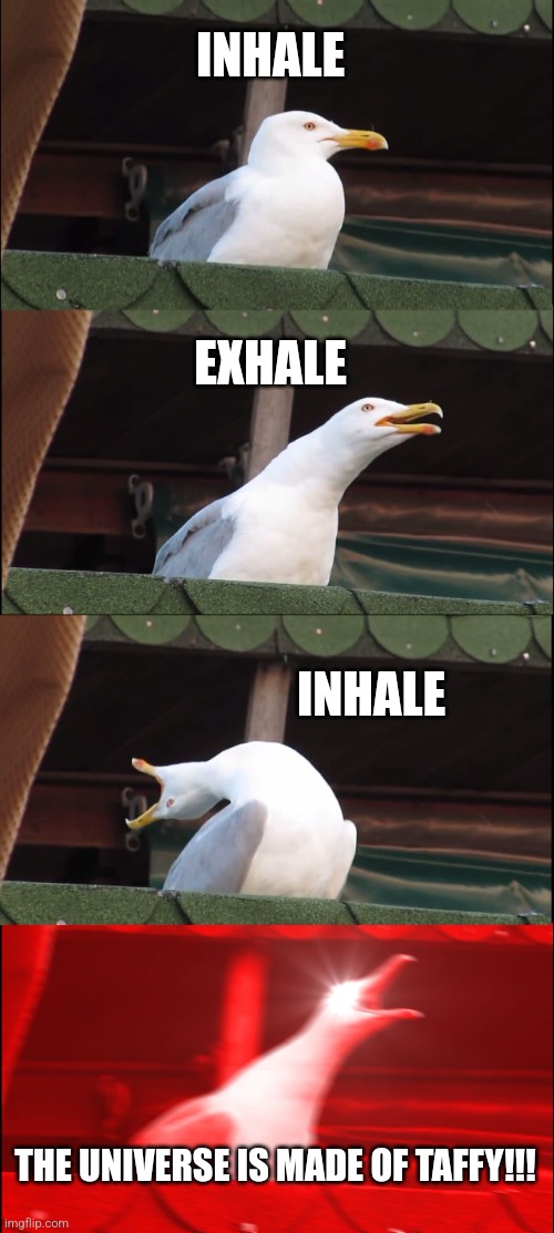 The universe is made of taffy | INHALE; EXHALE; INHALE; THE UNIVERSE IS MADE OF TAFFY!!! | image tagged in memes,inhaling seagull,jpfan102504,food memes | made w/ Imgflip meme maker