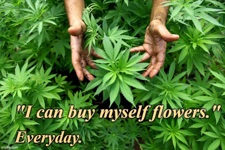 Miley smokes weed bet | "I can buy myself flowers."; Everyday. | image tagged in cannabis,bud,miley,flowers,buy them,everyday | made w/ Imgflip meme maker