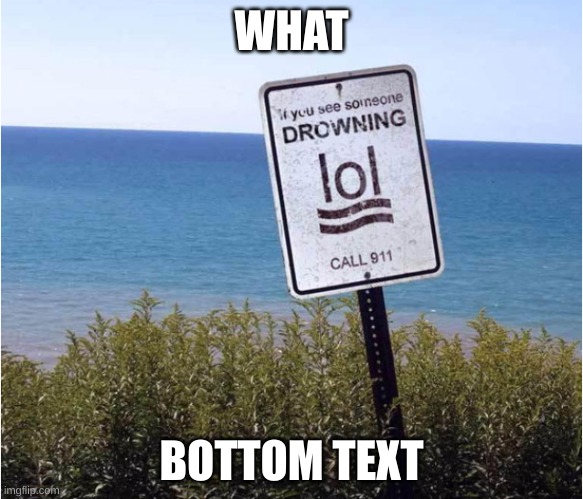 hmm... | WHAT; BOTTOM TEXT | image tagged in why | made w/ Imgflip meme maker