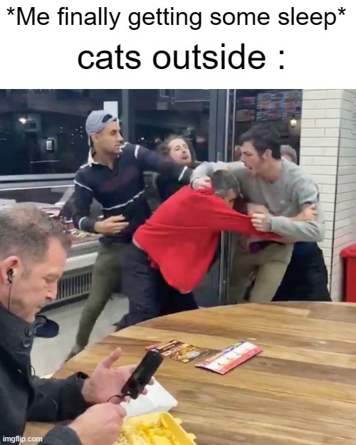Lets get ready to rumble | *Me finally getting some sleep*; cats outside : | image tagged in kebab shop fight 2,funny memes,relatable memes | made w/ Imgflip meme maker