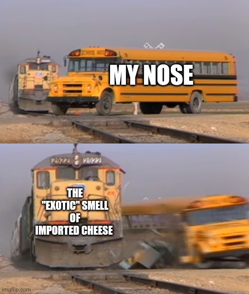 Imported Cheese | MY NOSE; THE "EXOTIC" SMELL OF IMPORTED CHEESE | image tagged in a train hitting a school bus,food memes,jpfan102504 | made w/ Imgflip meme maker