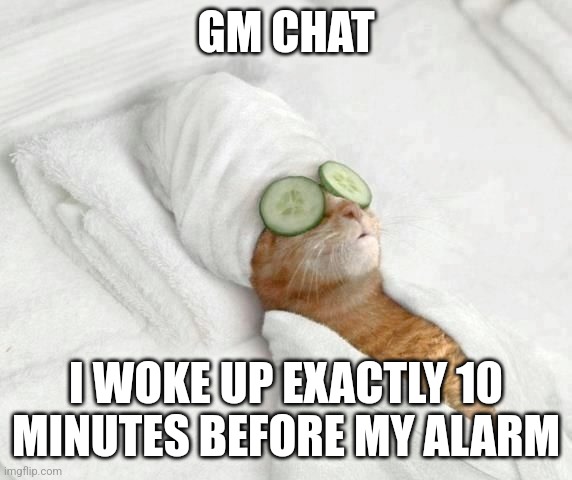 Cat relax in bed | GM CHAT; I WOKE UP EXACTLY 10 MINUTES BEFORE MY ALARM | image tagged in cat relax in bed | made w/ Imgflip meme maker