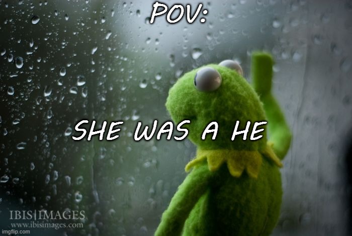 #relatable | POV:; SHE WAS A HE | image tagged in kermit window | made w/ Imgflip meme maker