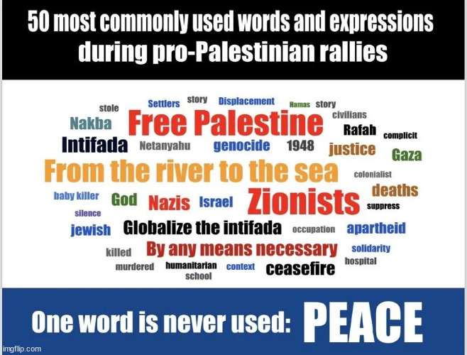 They mention everything else but PEACE | image tagged in lib hypocrites,a ceasefire does not equal peace | made w/ Imgflip meme maker