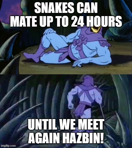 Skeletor disturbing facts | SNAKES CAN MATE UP TO 24 HOURS; UNTIL WE MEET AGAIN HAZBIN! | image tagged in skeletor disturbing facts | made w/ Imgflip meme maker