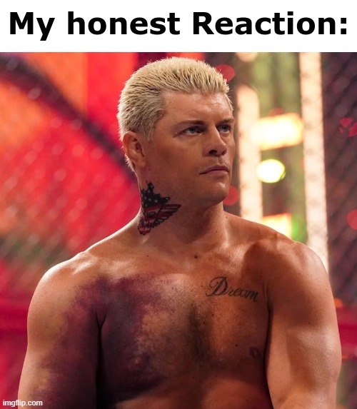 Cody Rhodes "my honest reaction" | image tagged in cody rhodes my honest reaction | made w/ Imgflip meme maker