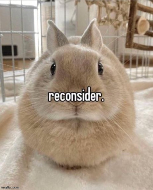 bye chat | image tagged in reconsider | made w/ Imgflip meme maker