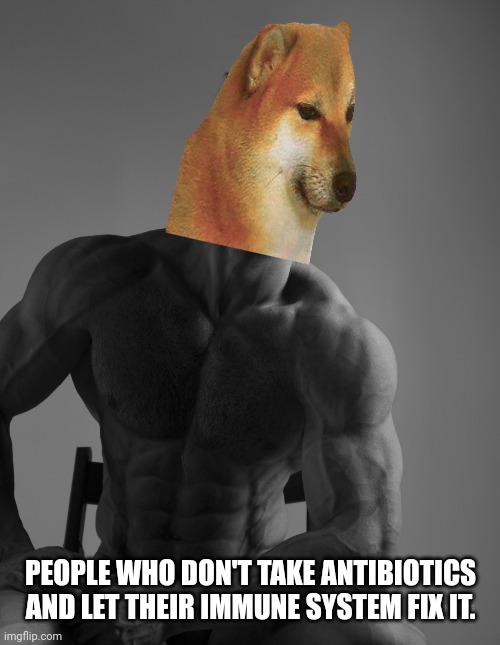 Giga Chad | PEOPLE WHO DON'T TAKE ANTIBIOTICS AND LET THEIR IMMUNE SYSTEM FIX IT. | image tagged in giga chad | made w/ Imgflip meme maker