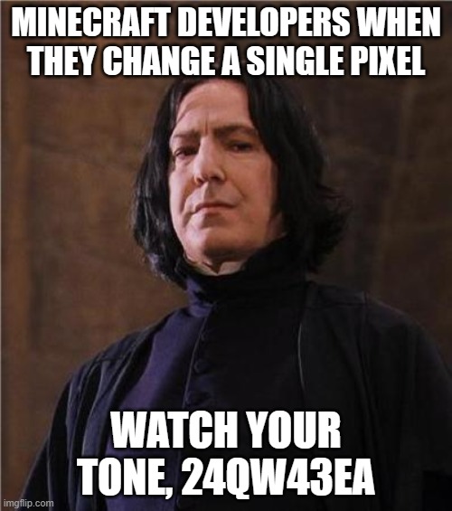 bruh. tru | MINECRAFT DEVELOPERS WHEN THEY CHANGE A SINGLE PIXEL; WATCH YOUR TONE, 24QW43EA | image tagged in snape | made w/ Imgflip meme maker