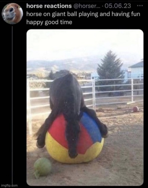 ok what situation would you ever use this in | made w/ Imgflip meme maker
