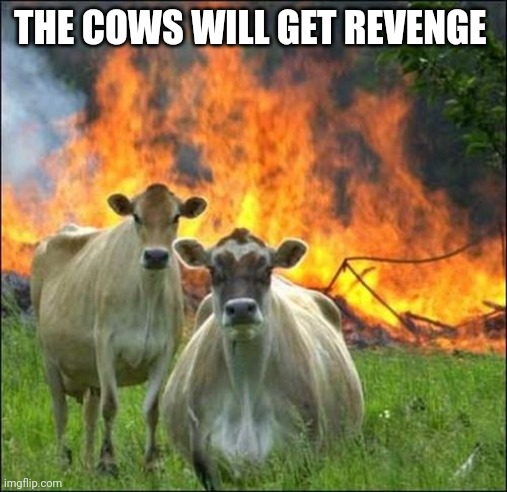 Evil Cows Meme | THE COWS WILL GET REVENGE | image tagged in memes,evil cows | made w/ Imgflip meme maker