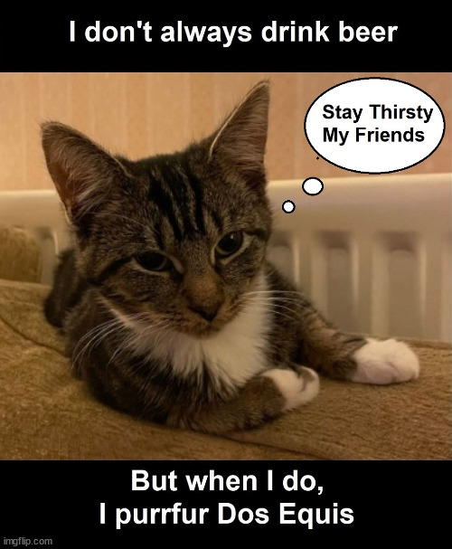 The Most Interesting Cat in the World | image tagged in funny,funny memes | made w/ Imgflip meme maker