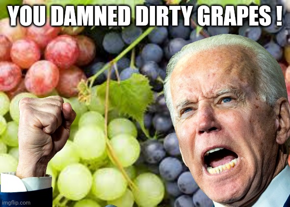 YOU DAMNED DIRTY GRAPES ! | made w/ Imgflip meme maker