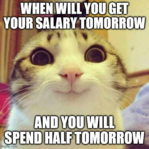 salary tomorrow | WHEN WILL YOU GET YOUR SALARY TOMORROW; AND YOU WILL SPEND HALF TOMORROW | image tagged in memes,smiling cat | made w/ Imgflip meme maker