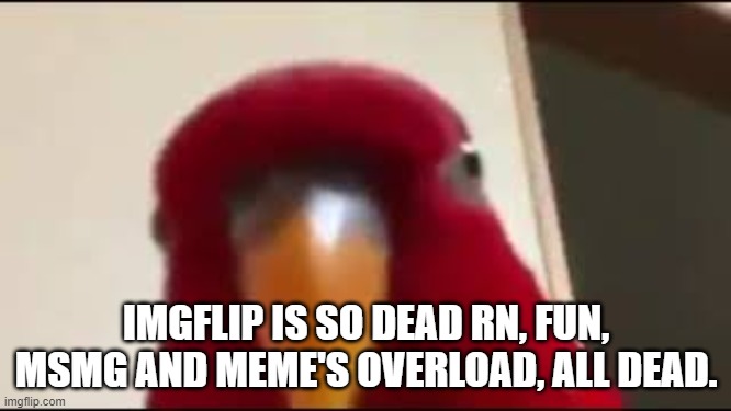 Red Birb Gumi Staring | IMGFLIP IS SO DEAD RN, FUN, MSMG AND MEME'S OVERLOAD, ALL DEAD. | image tagged in red birb gumi staring | made w/ Imgflip meme maker