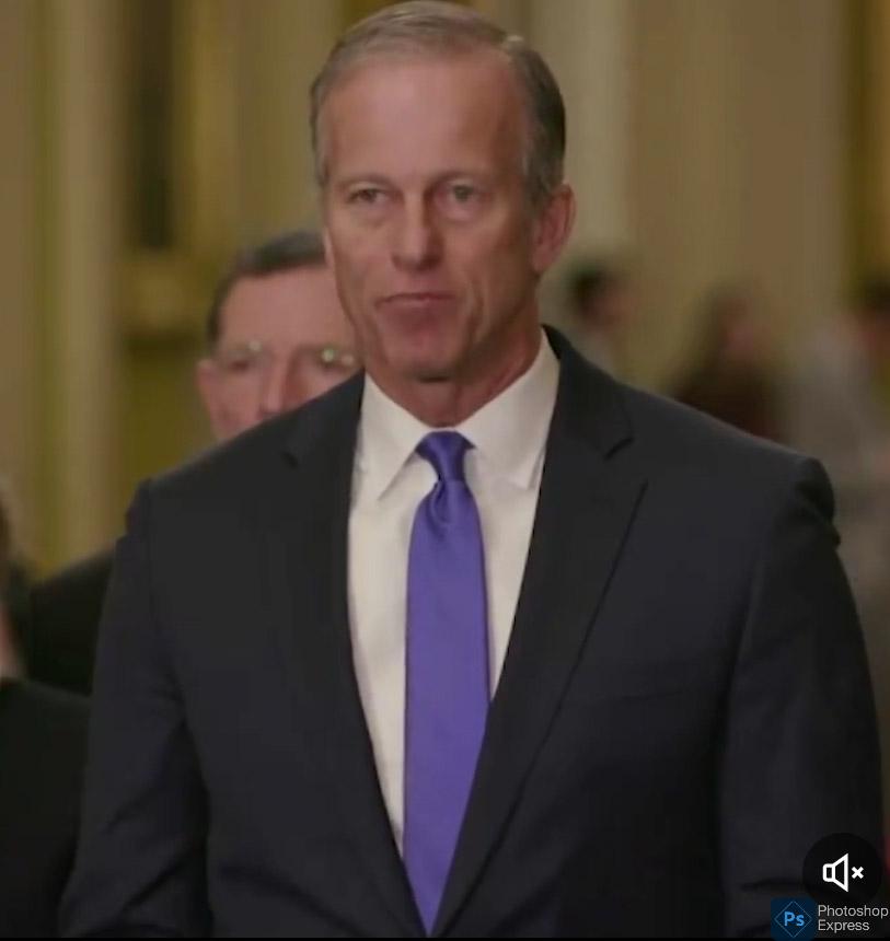 High Quality Senator John Thune Blank Meme Template