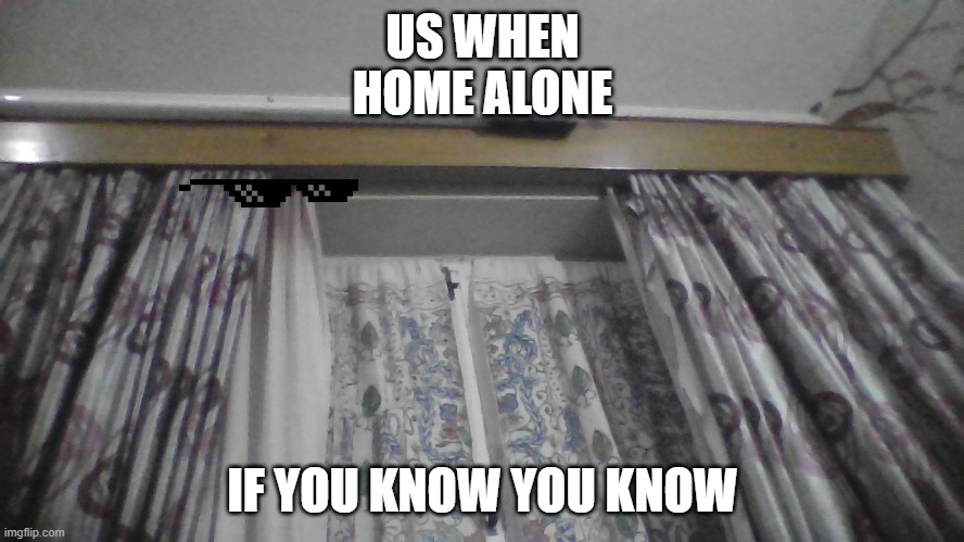 the curtain | US WHEN HOME ALONE; IF YOU KNOW YOU KNOW | image tagged in the curtain | made w/ Imgflip meme maker