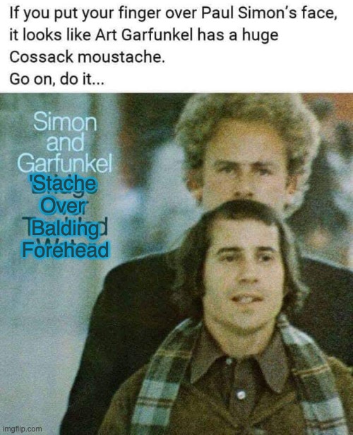 'Stache Over Balding Forhead | 'Stache 
Over 
Balding
Forehead | image tagged in simon and garfunkel,troubled water | made w/ Imgflip meme maker