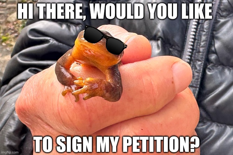 Postal Newt | HI THERE, WOULD YOU LIKE; TO SIGN MY PETITION? | image tagged in memes,animal meme,funny animal meme,shitpost,gaming,humor | made w/ Imgflip meme maker