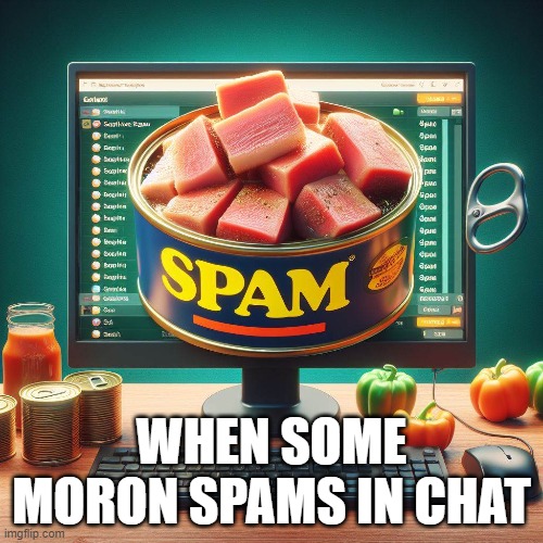 Spam in chat | WHEN SOME MORON SPAMS IN CHAT | image tagged in spam,meat,not-meat | made w/ Imgflip meme maker