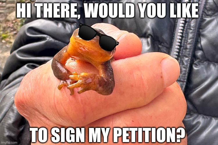 Postal Newt | HI THERE, WOULD YOU LIKE; TO SIGN MY PETITION? | image tagged in memes,shitpost,animal meme,funny animal meme,humor,lol | made w/ Imgflip meme maker