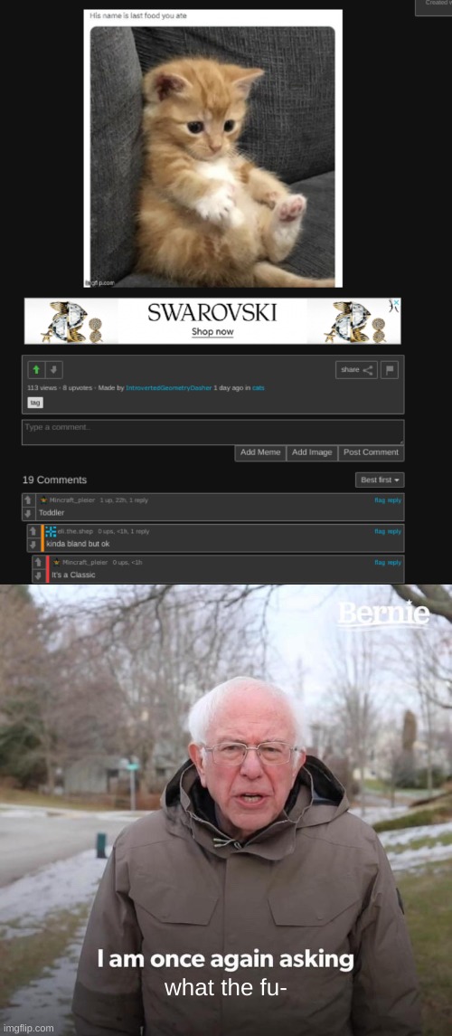 welp, i found another cannibal(mod note: ur allowed to say what the fuck) | what the fu- | image tagged in memes,bernie i am once again asking for your support,cursed,what the heck did you just bring upon this cursed land | made w/ Imgflip meme maker