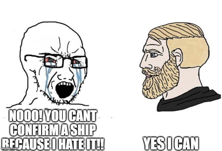 Soyboy Vs Yes Chad | NOOO! YOU CANT CONFIRM A SHIP BECAUSE I HATE IT!! YES I CAN | image tagged in soyboy vs yes chad | made w/ Imgflip meme maker