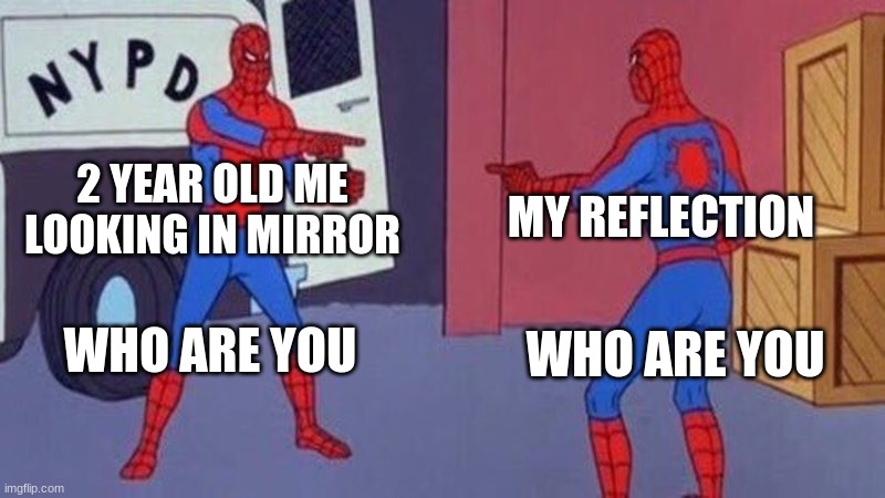 WHO R U | 2 YEAR OLD ME LOOKING IN MIRROR; MY REFLECTION; WHO ARE YOU; WHO ARE YOU | image tagged in spiderman pointing at spiderman | made w/ Imgflip meme maker
