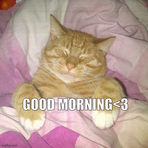 Eepy | GOOD MORNING<3 | image tagged in eepy | made w/ Imgflip meme maker