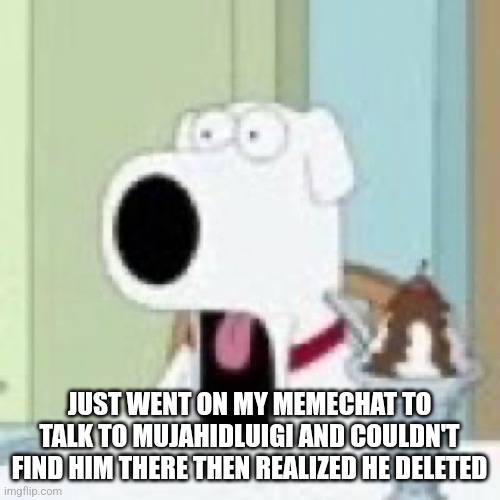 what happened | JUST WENT ON MY MEMECHAT TO TALK TO MUJAHIDLUIGI AND COULDN'T FIND HIM THERE THEN REALIZED HE DELETED | image tagged in brian wtf | made w/ Imgflip meme maker