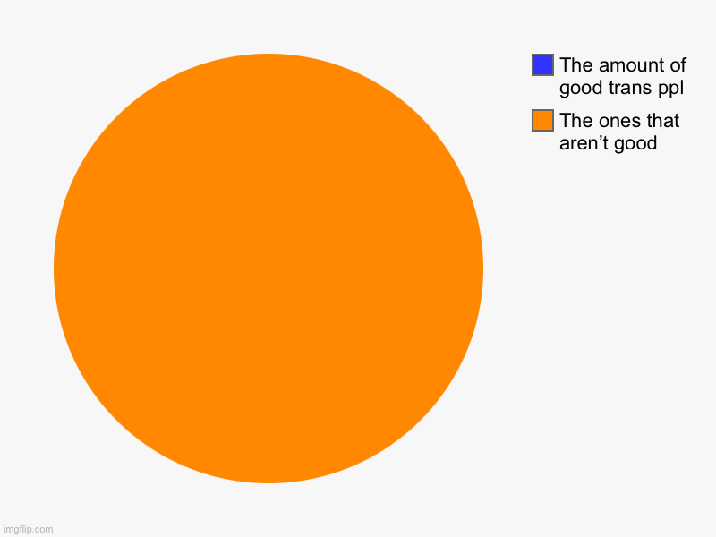 It’s truueeeee | The ones that aren’t good, The amount of good trans ppl | image tagged in charts,pie charts | made w/ Imgflip chart maker