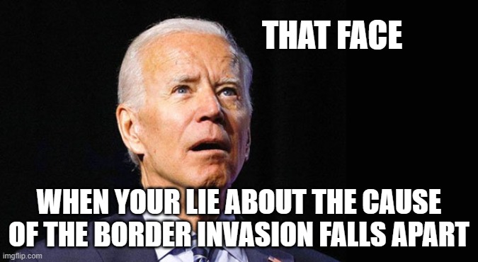 The man behind the invasion | THAT FACE; WHEN YOUR LIE ABOUT THE CAUSE OF THE BORDER INVASION FALLS APART | image tagged in confused joe biden,border crisis,americans in danger,biden crime wave,dangerous illegals,democrat war on america | made w/ Imgflip meme maker