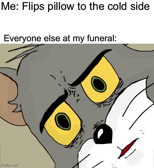 FR bro | Me: Flips pillow to the cold side; Everyone else at my funeral: | image tagged in memes,unsettled tom,relatable memes,pillow,funny,cold | made w/ Imgflip meme maker