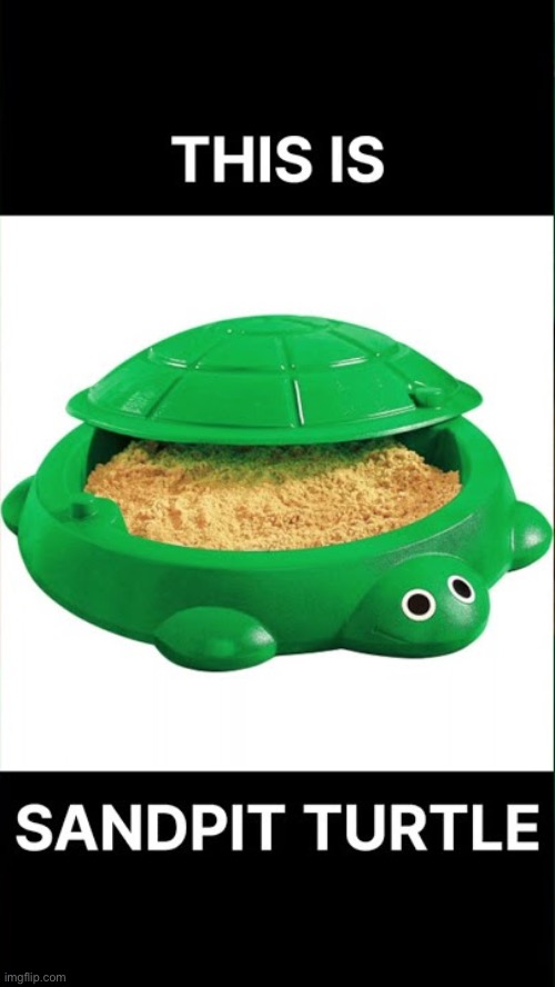 image tagged in this is sandpit turtle | made w/ Imgflip meme maker