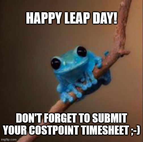 Costpoint LeapFrog | HAPPY LEAP DAY! DON'T FORGET TO SUBMIT YOUR COSTPOINT TIMESHEET ;-) | image tagged in small fact frog | made w/ Imgflip meme maker