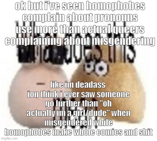 what does this mean | ok but i've seen homophobes complain about pronouns use more than actual queers complaining about misgendering; like im deadass  ion think i ever saw someone go further than "oh actually im a girl/dude" when misgendered while homophobes make whole comics and shit | image tagged in what does this mean | made w/ Imgflip meme maker