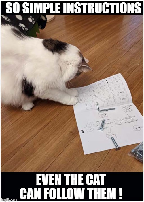 Struggling With Self Assembly Furniture ? | SO SIMPLE INSTRUCTIONS; EVEN THE CAT CAN FOLLOW THEM ! | image tagged in cats,ikea,self assembly,instructions | made w/ Imgflip meme maker