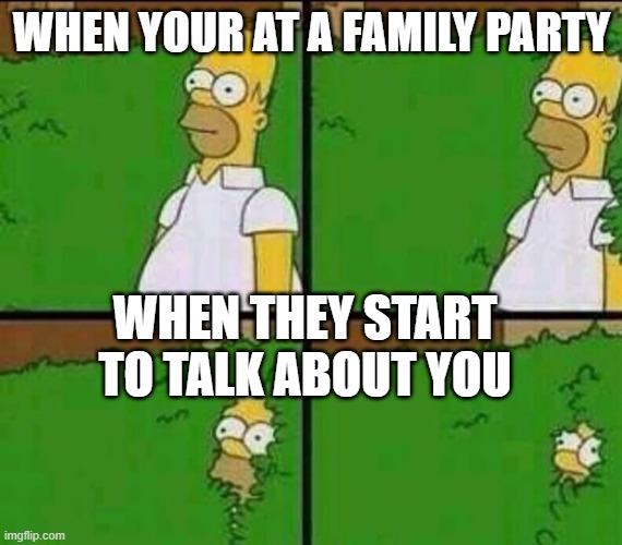 hommer | WHEN YOUR AT A FAMILY PARTY; WHEN THEY START TO TALK ABOUT YOU | image tagged in homer simpson in bush - large | made w/ Imgflip meme maker