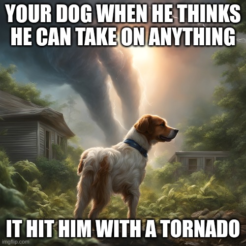 tornado | YOUR DOG WHEN HE THINKS HE CAN TAKE ON ANYTHING; IT HIT HIM WITH A TORNADO | image tagged in tornado | made w/ Imgflip meme maker