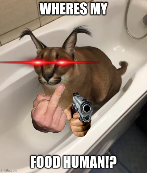 im feelin hungry | WHERES MY; FOOD HUMAN!? | image tagged in big floppa in the tub,hungry | made w/ Imgflip meme maker