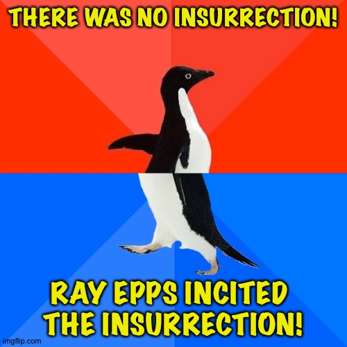 Socially Awesome Awkward Penguin | THERE WAS NO INSURRECTION! RAY EPPS INCITED 
THE INSURRECTION! | image tagged in memes,socially awesome awkward penguin | made w/ Imgflip meme maker