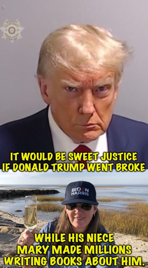 She can do it too. | IT WOULD BE SWEET JUSTICE IF DONALD TRUMP WENT BROKE; WHILE HIS NIECE MARY MADE MILLIONS WRITING BOOKS ABOUT HIM. | image tagged in donald trump mugshot,mary trump biden harris | made w/ Imgflip meme maker