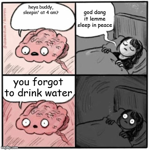 that feeling when you feel dehydrated | god dang it lemme sleep in peace; heya buddy, sleepin' at 4 am? you forgot to drink water | image tagged in brain before sleep | made w/ Imgflip meme maker